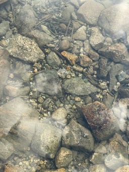 Grand Teton, USA National Parks